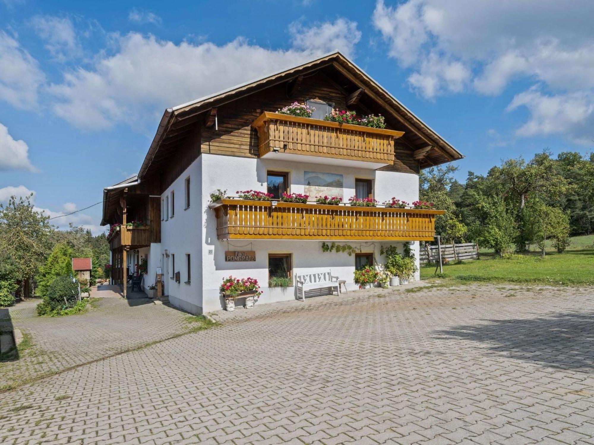 Apartment On A Farm Near The Ski Area Neukirchen beim Heiligen Blut Ngoại thất bức ảnh